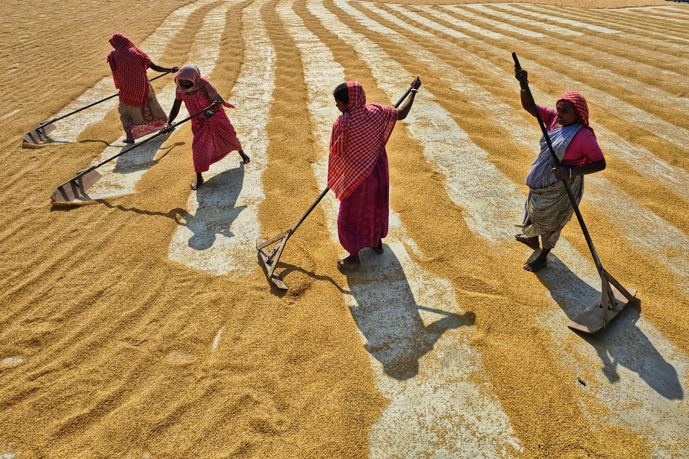 Women Farmers Reclaim the Future of India’s Agriculture