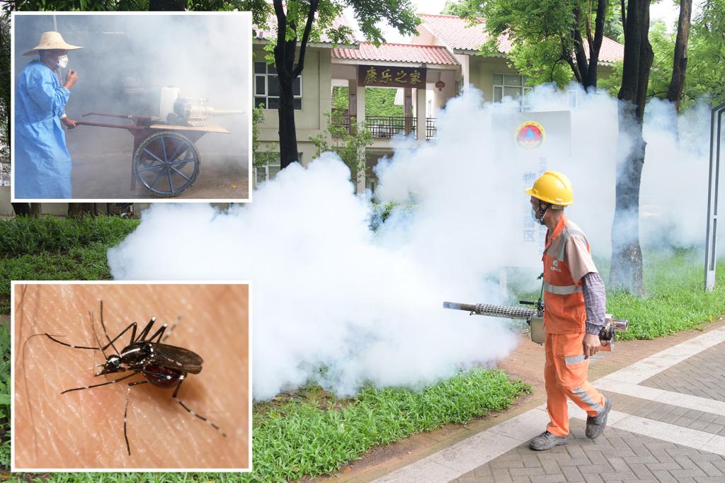 Taiwan Confirms First Case of Chikungunya Virus Amid Growing China Outbreak